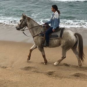 Meet your Posher, Jocelyn